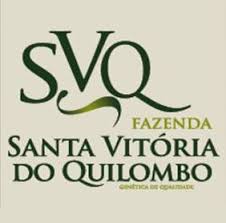 Logo - Vinhedo Santa Vitória do Quilombo