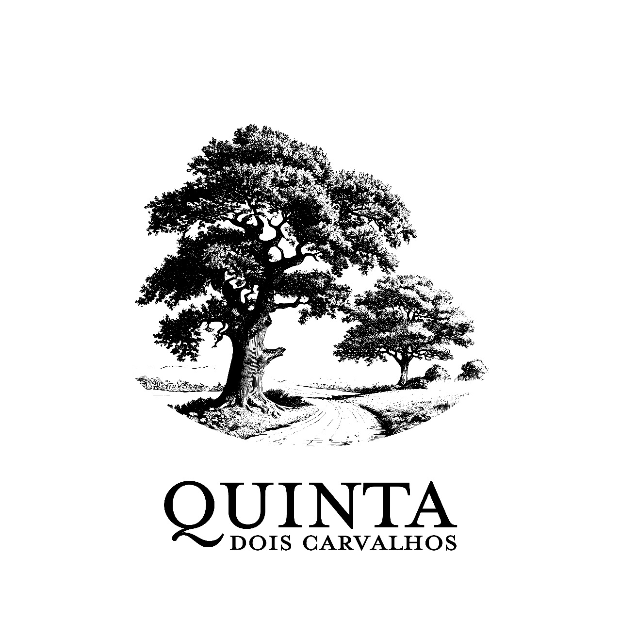 Logo - Quinta Dois Carvalhos